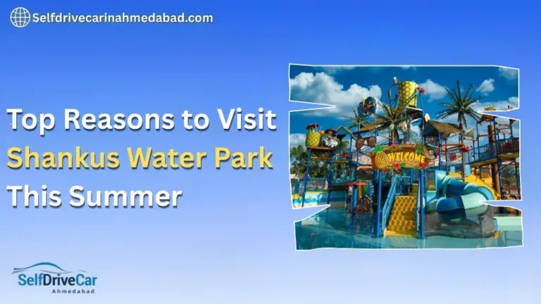 Top Reasons to Visit Shankus Water Park This Summer