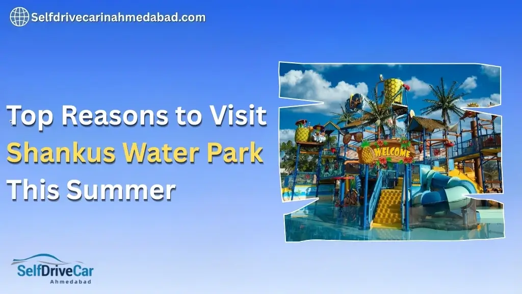 Top Reasons to Visit Shankus Water Park This Summer